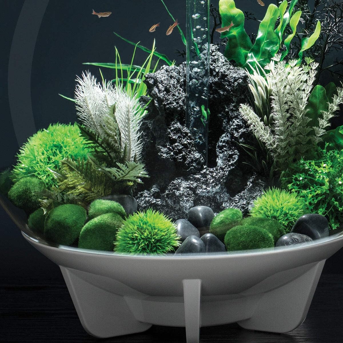 BiOrb 46084.0 Moss Pebbles Aquariums - Image 6