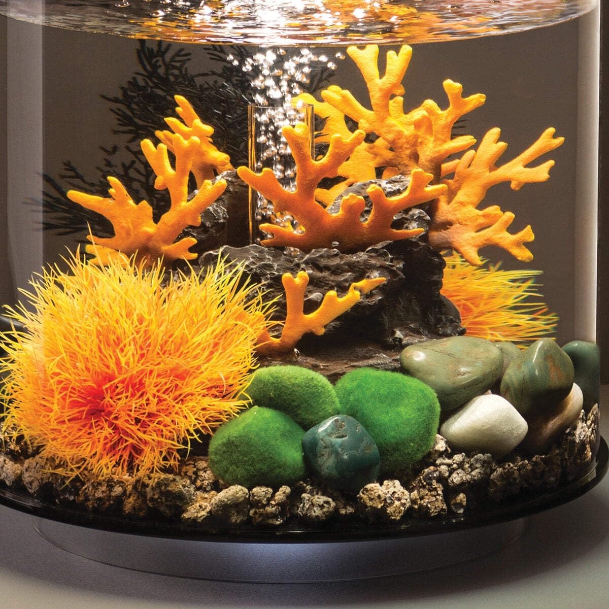 BiOrb 46084.0 Moss Pebbles Aquariums - Image 7