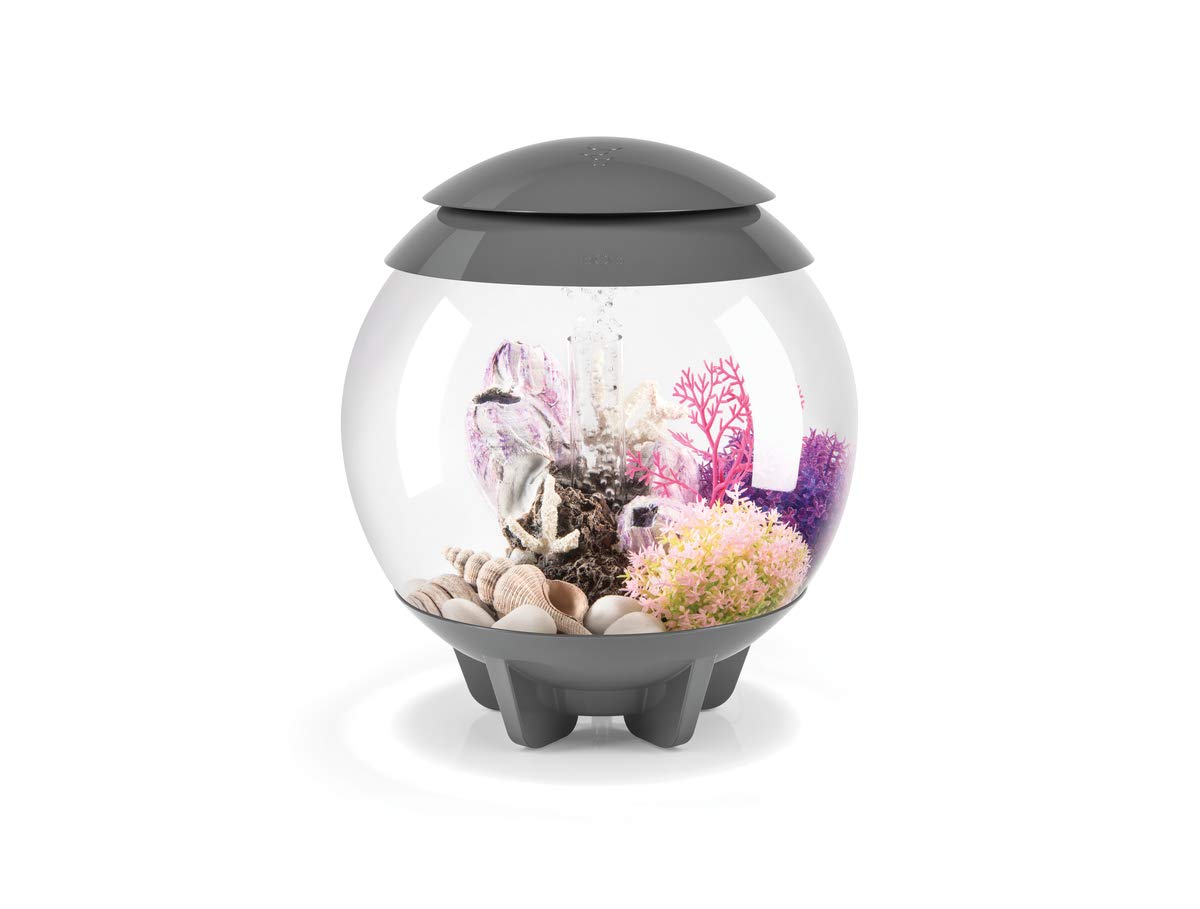 BiOrb 46092.0 Sea Fan Small Pink Aquariums - Image 6