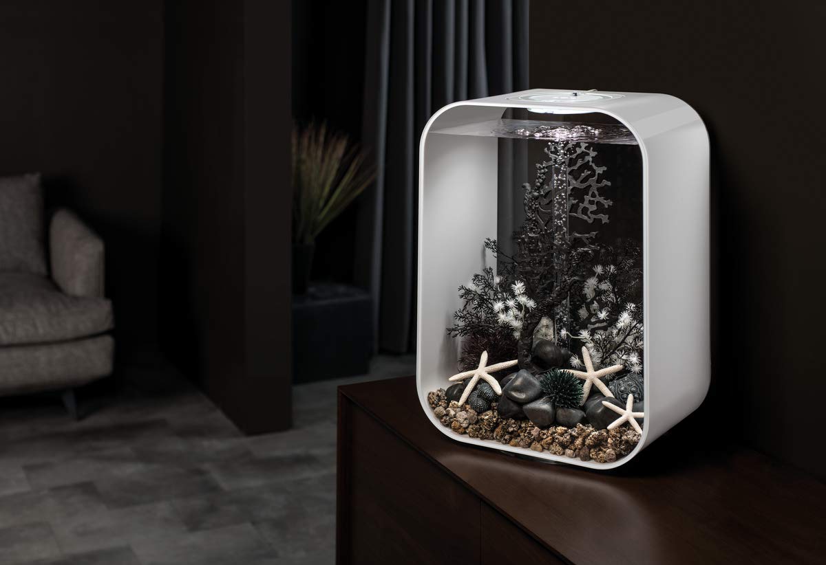 BiOrb 46097.0 Sea Fan Medium Black Aquariums - Image 6