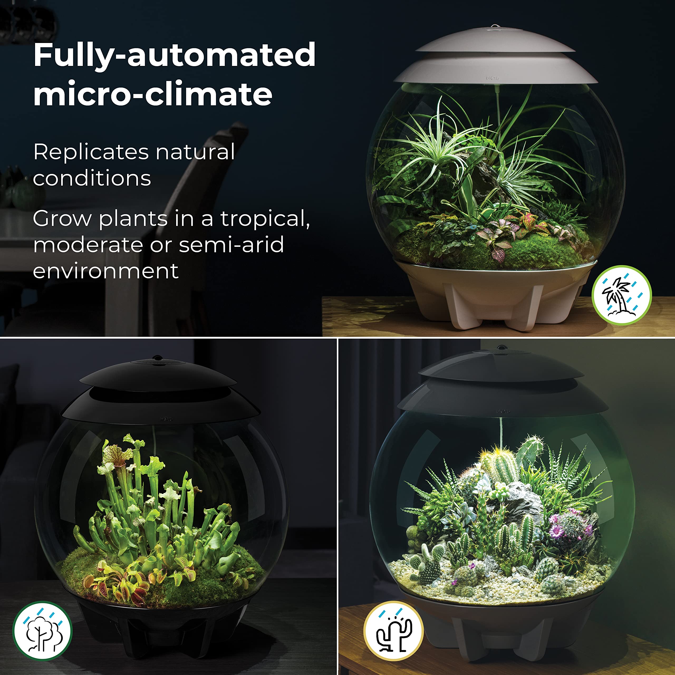 biOrb AIR 30, Automated Acrylic Terrarium for Desert or Tropical Plants, Black - Image 5