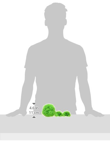 biOrb Aquatic Topiary Ball Set, Colorful and Durable Aquarium Decorations, Green - Image 6