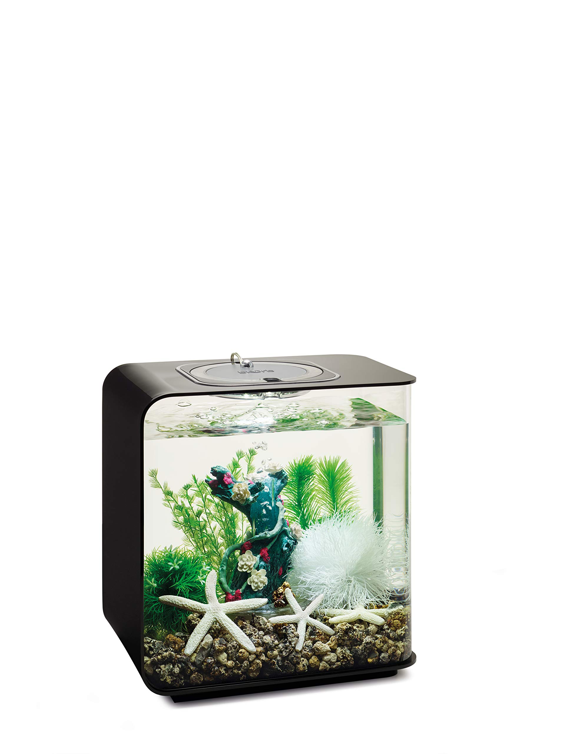 biOrb Decor Set – 15L Flower Garden - Image 3