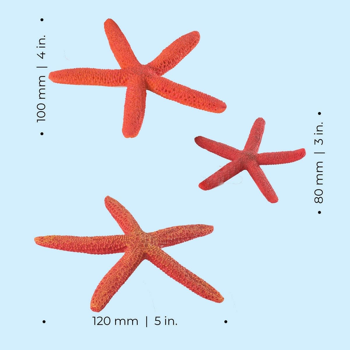 biOrb Fish Tank Decorations, Ceramic Starfish Aquarium Ornament (Red Colour), Beautifully Detailed Artificial Fish Tank Accessories to Add Colour, Natural-Looking Aquarium Decor for Scenic Background - Image 3