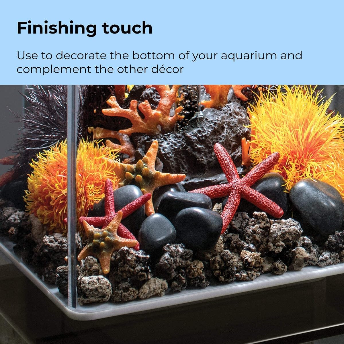 biOrb Fish Tank Decorations, Ceramic Starfish Aquarium Ornament (Red Colour), Beautifully Detailed Artificial Fish Tank Accessories to Add Colour, Natural-Looking Aquarium Decor for Scenic Background - Image 5