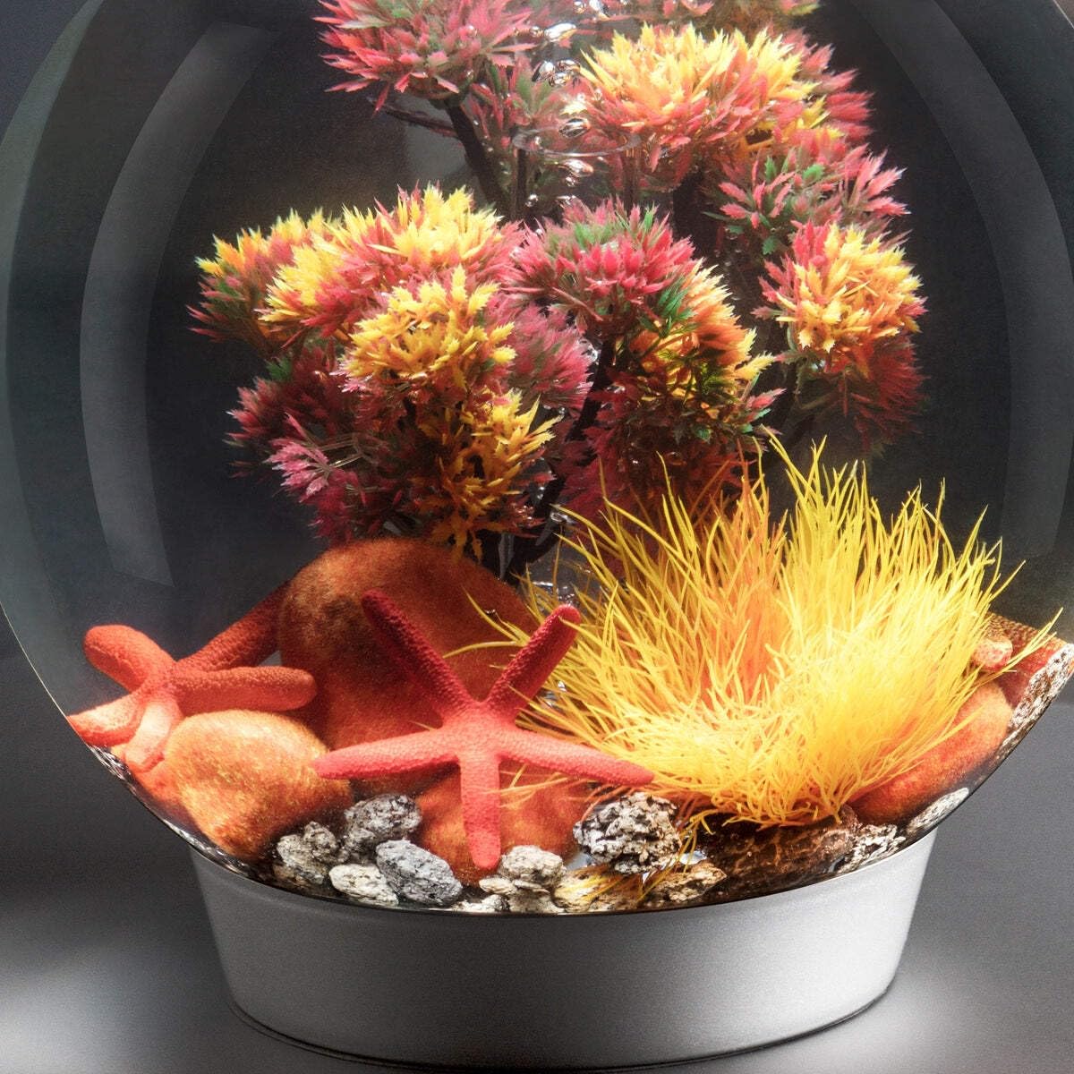 biOrb Fish Tank Decorations, Ceramic Starfish Aquarium Ornament (Red Colour), Beautifully Detailed Artificial Fish Tank Accessories to Add Colour, Natural-Looking Aquarium Decor for Scenic Background - Image 6