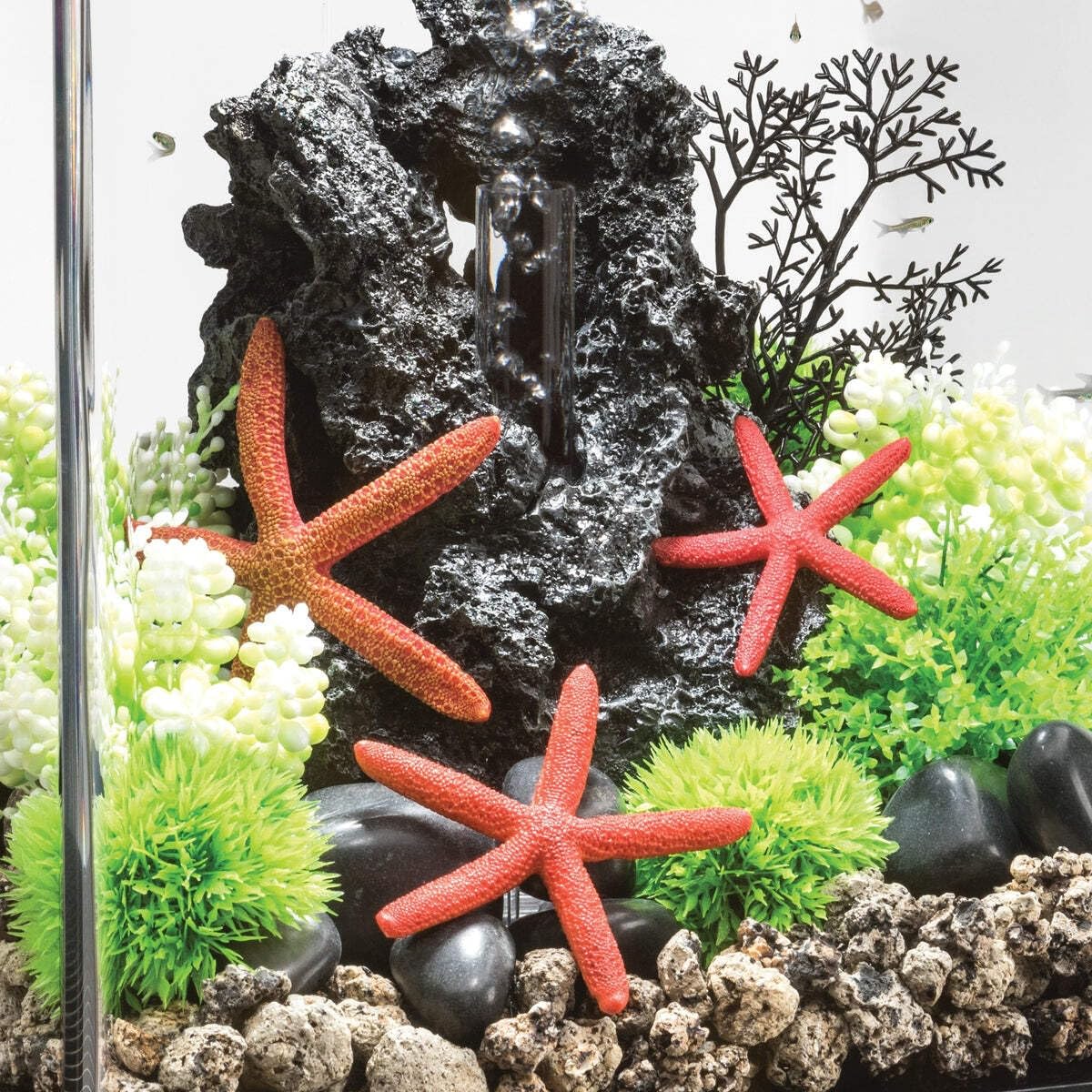 biOrb Fish Tank Decorations, Ceramic Starfish Aquarium Ornament (Red Colour), Beautifully Detailed Artificial Fish Tank Accessories to Add Colour, Natural-Looking Aquarium Decor for Scenic Background - Image 7