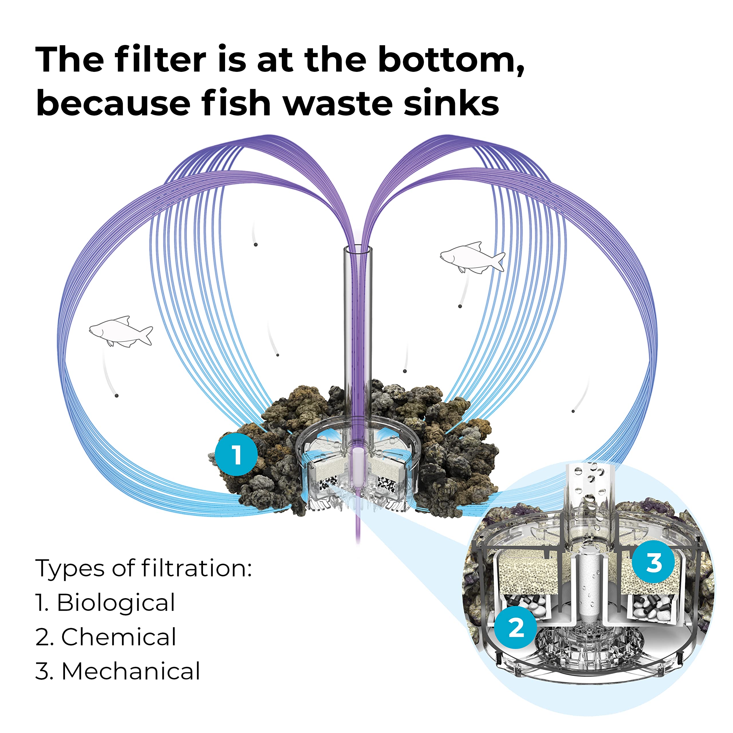biOrb Loop 15 Acrylic 4-Gallon Aquarium with Multi-Color Remote-Controlled LED Lights Modern Compact Tank for Tabletop or Desktop Display, Black-Trimmed Tank - Image 7