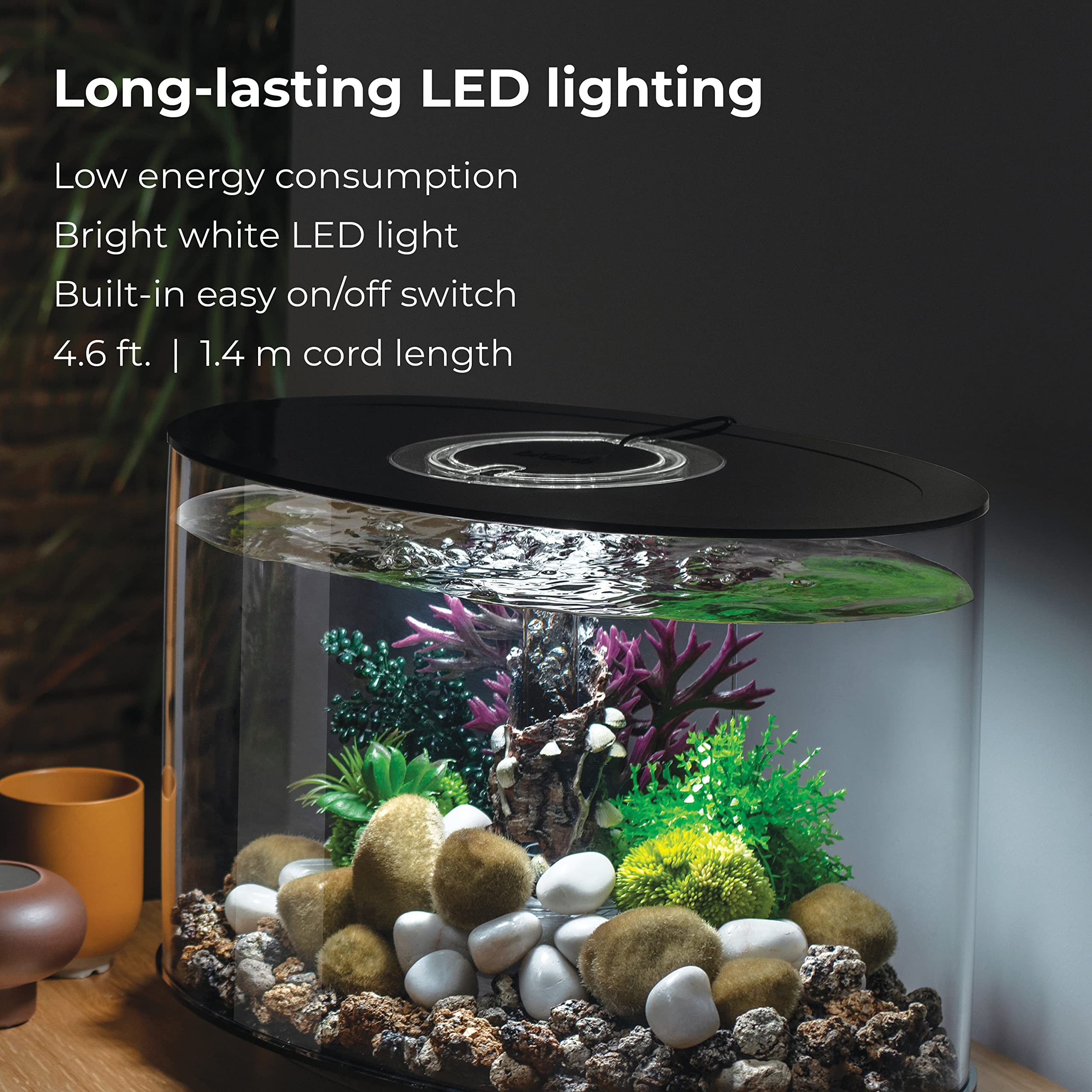 biOrb Loop 15 Acrylic 4-Gallon Aquarium with White LED Lights Modern Compact Tank for Tabletop or Desktop Display, Black-Trimmed Tank - Image 6