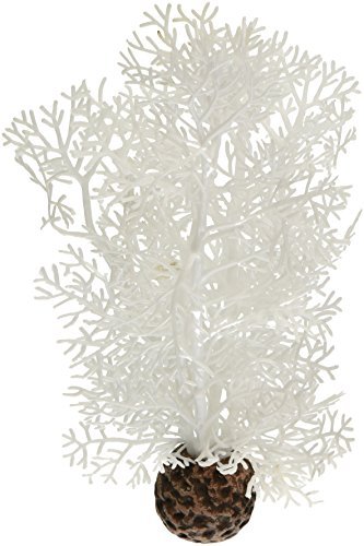 Sea Fan Small White - Image 3