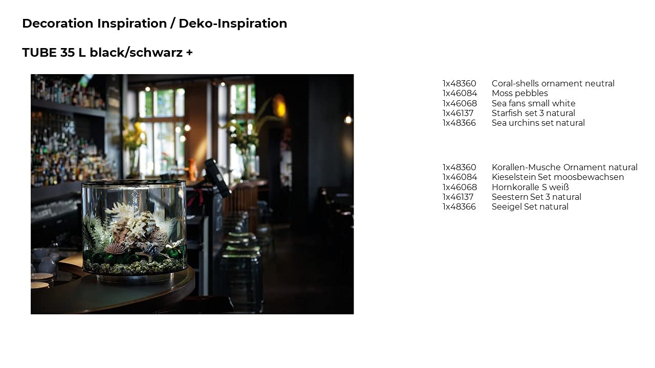 Sea Fan Small White - Image 6